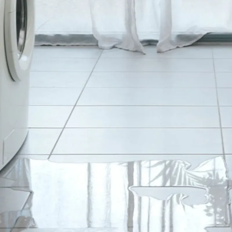 Appliance Leak Cleanup in Taylor, PA