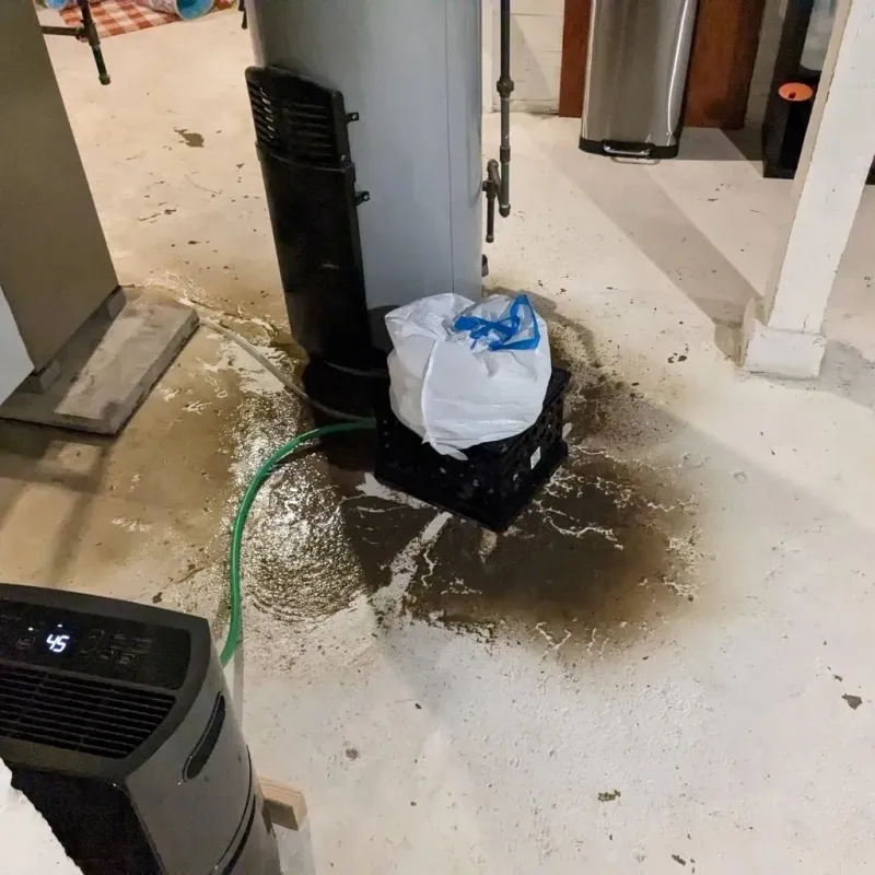 Sewage Backup Cleanup Service in Taylor, PA